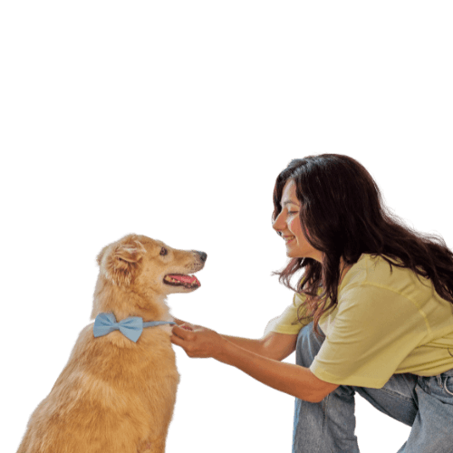 Pet Parent Boarding Interface