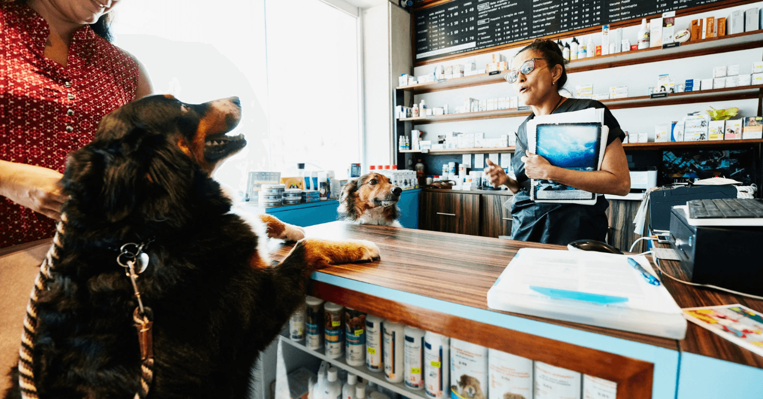 Beyond Bookings: What Your Pet Grooming Business Really Needs