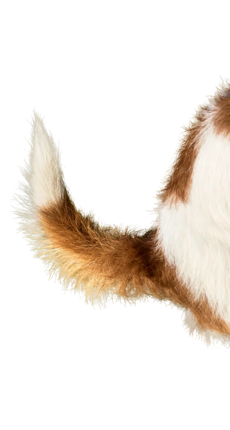 dog tail decoration